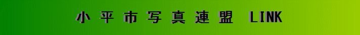 Noi[