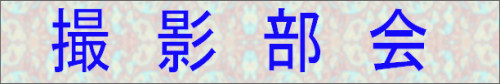 Be